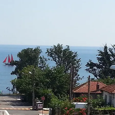 Diana Self Check-in Китен