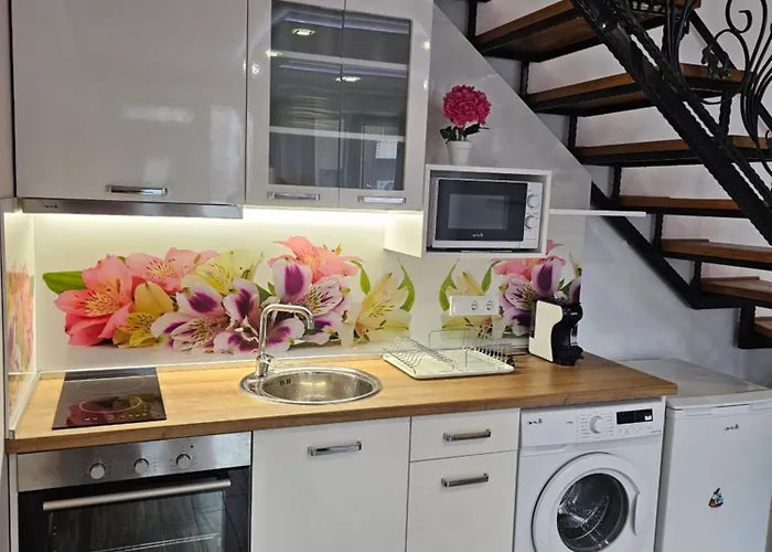 Diana Self Check-in 3*