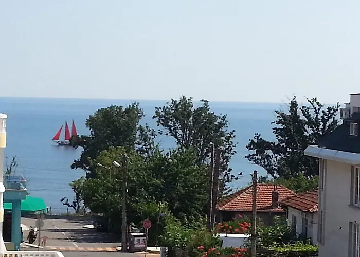 Diana Self Check-in كيتن